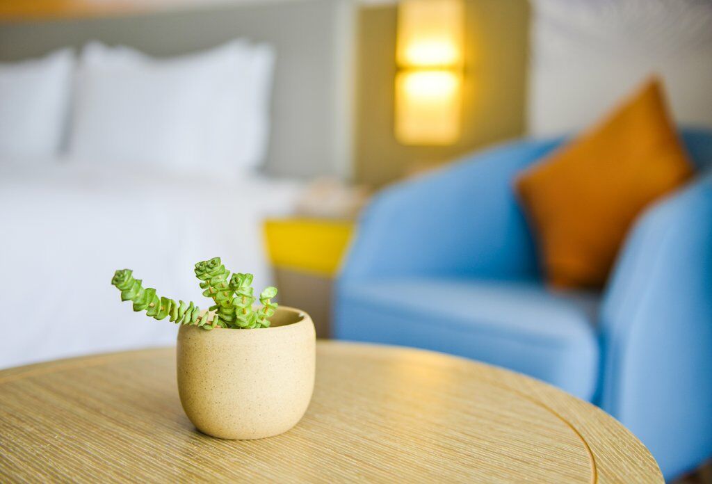 Holiday Inn Express Lhasa Potala Palace, An Ihg Hotel Ngoại thất bức ảnh
